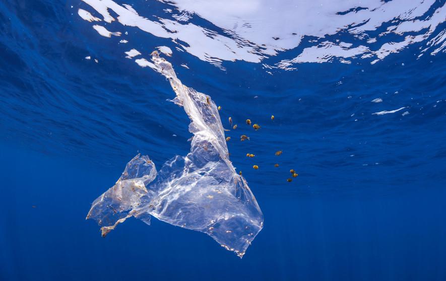 plastic debris floating in the ocean, transformed into sustainable fabrics by Seaqual initiative